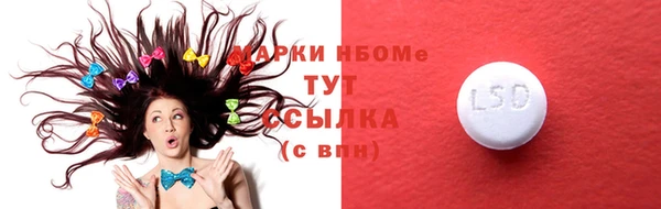 стафф Алзамай