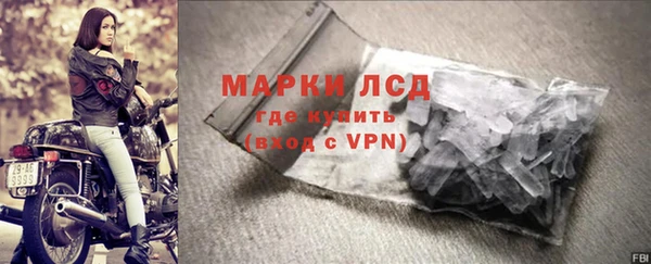 стафф Алзамай