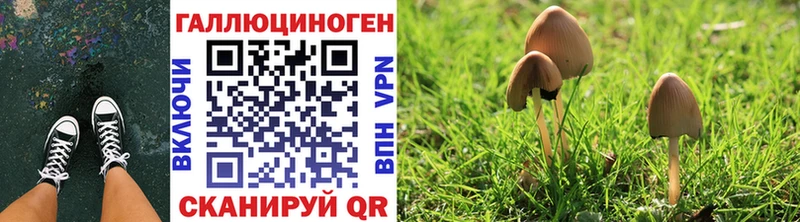 Псилоцибиновые грибы прущие грибы  как найти закладки  Неман 